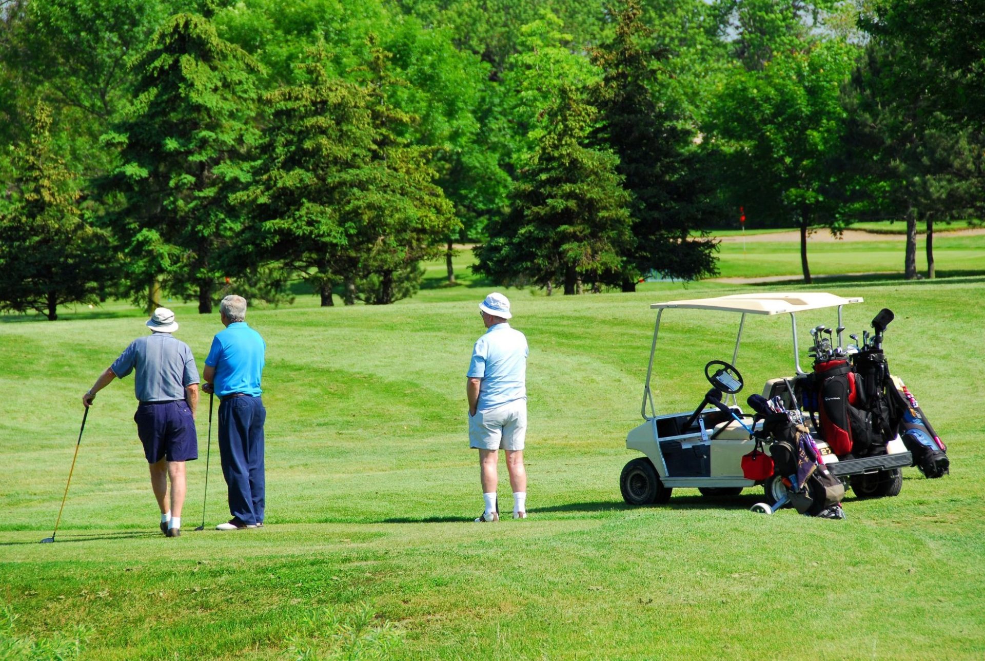 Group Of Seniors Playing Golf